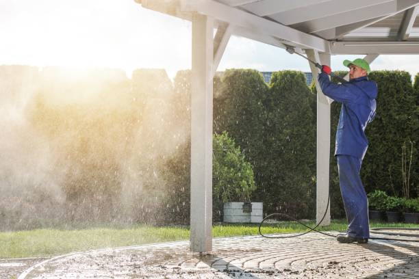 Best Warehouse Cleaning  in Posen, IL